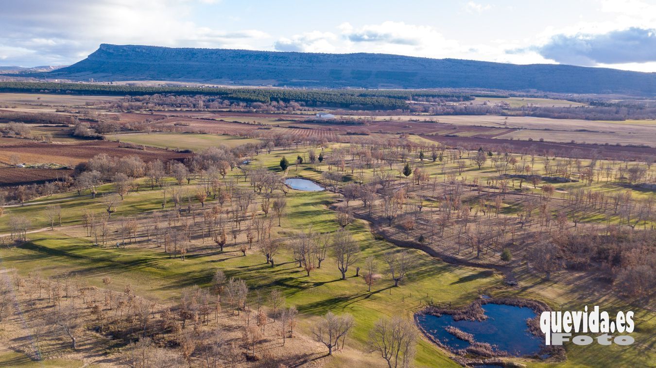 Pedrajas. Campo de Golf