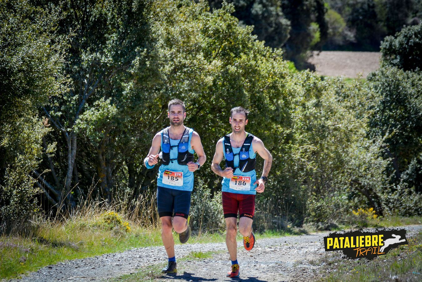 Pataliebre 2019 - 37K