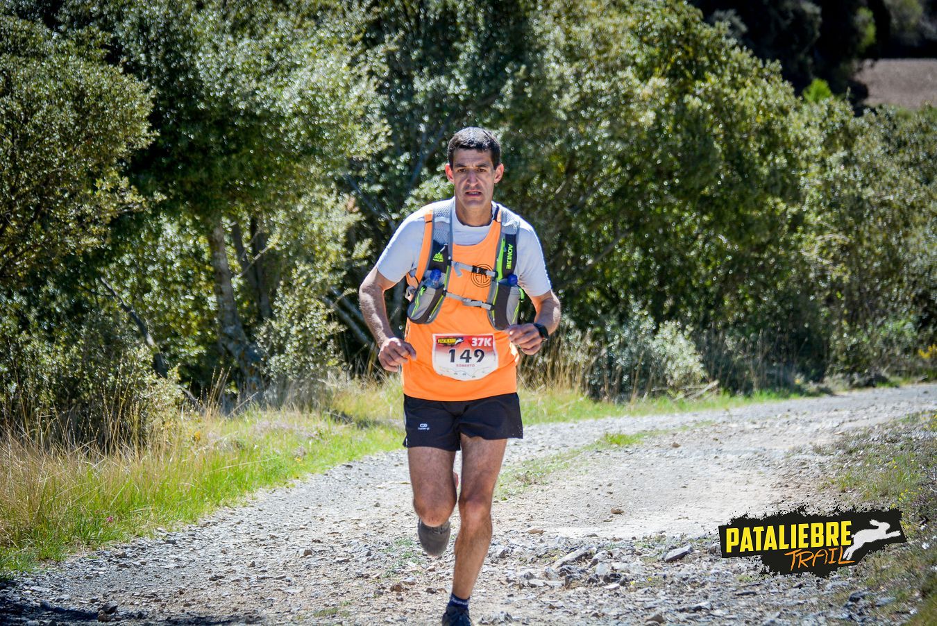 Pataliebre 2019 - 37K