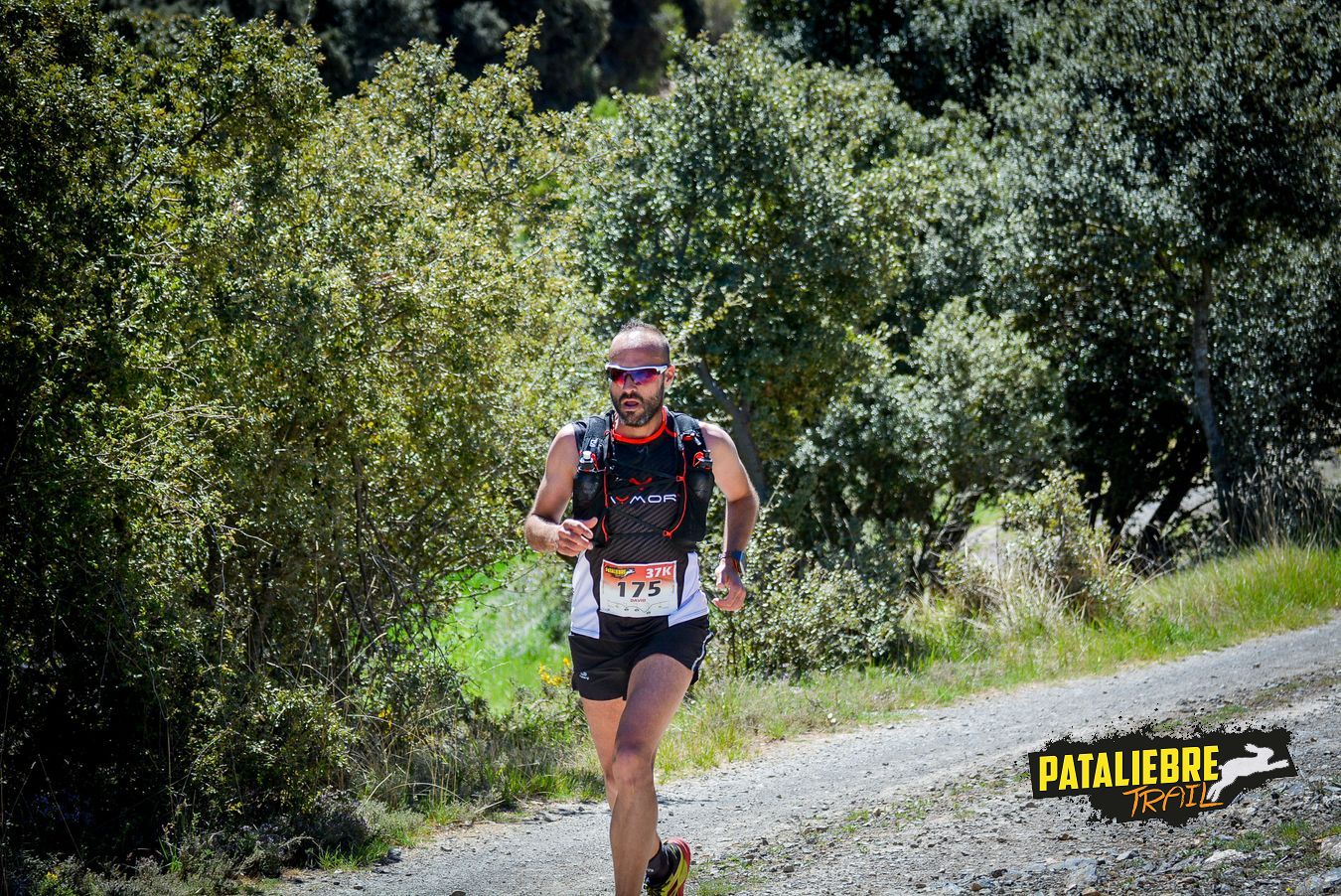 Pataliebre 2019 - 37K