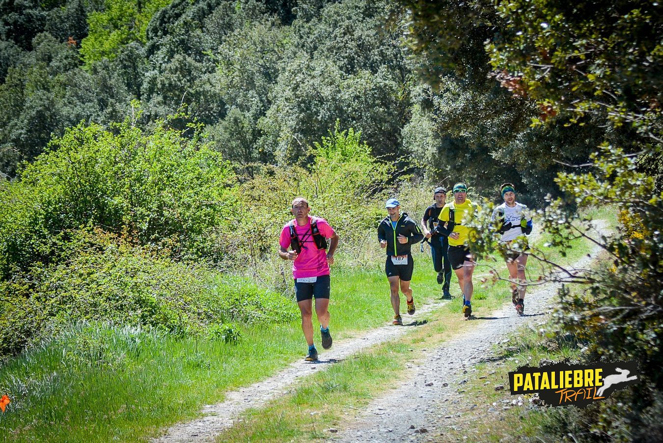 Pataliebre 2019 - 37K