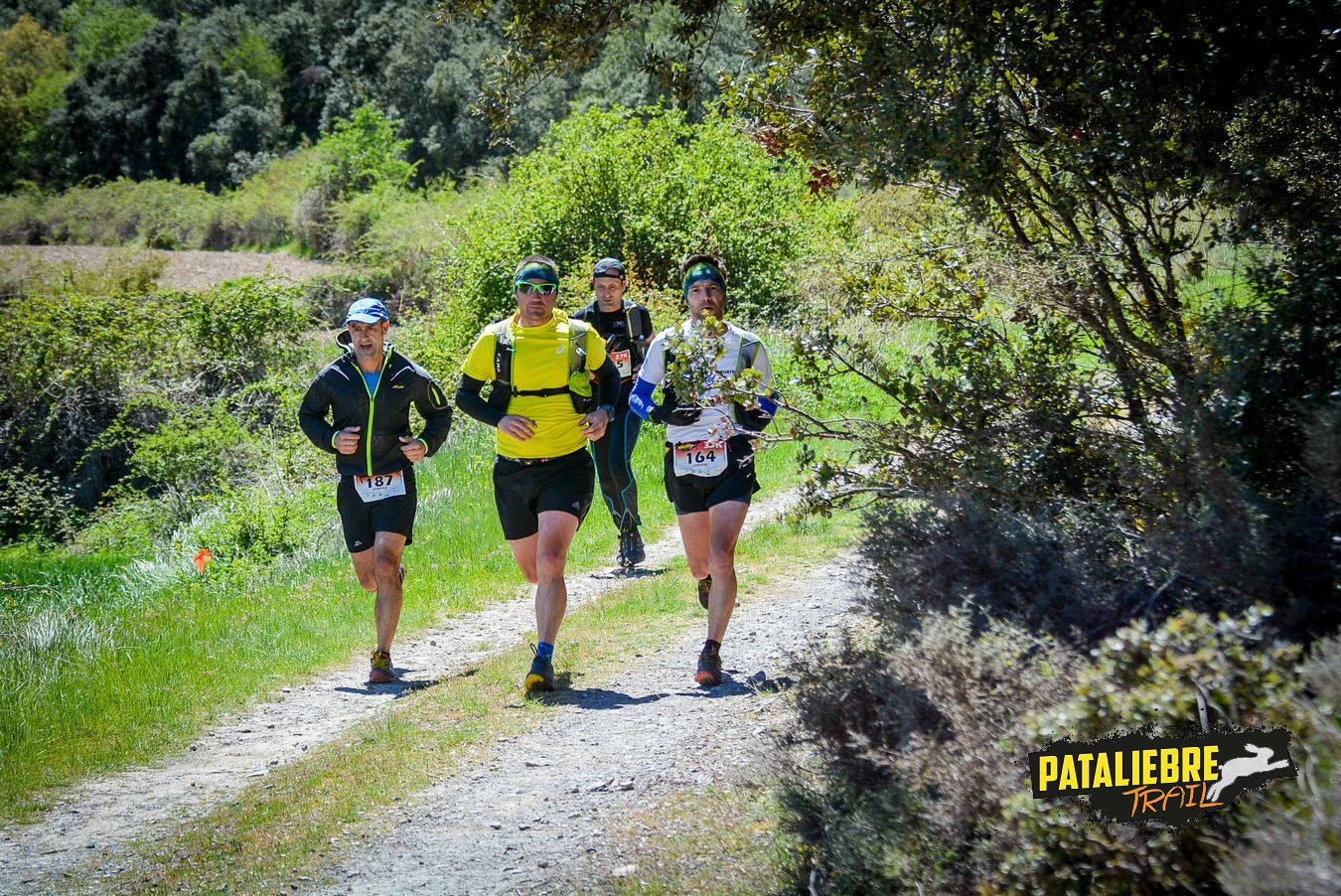 Pataliebre 2019 - 37K