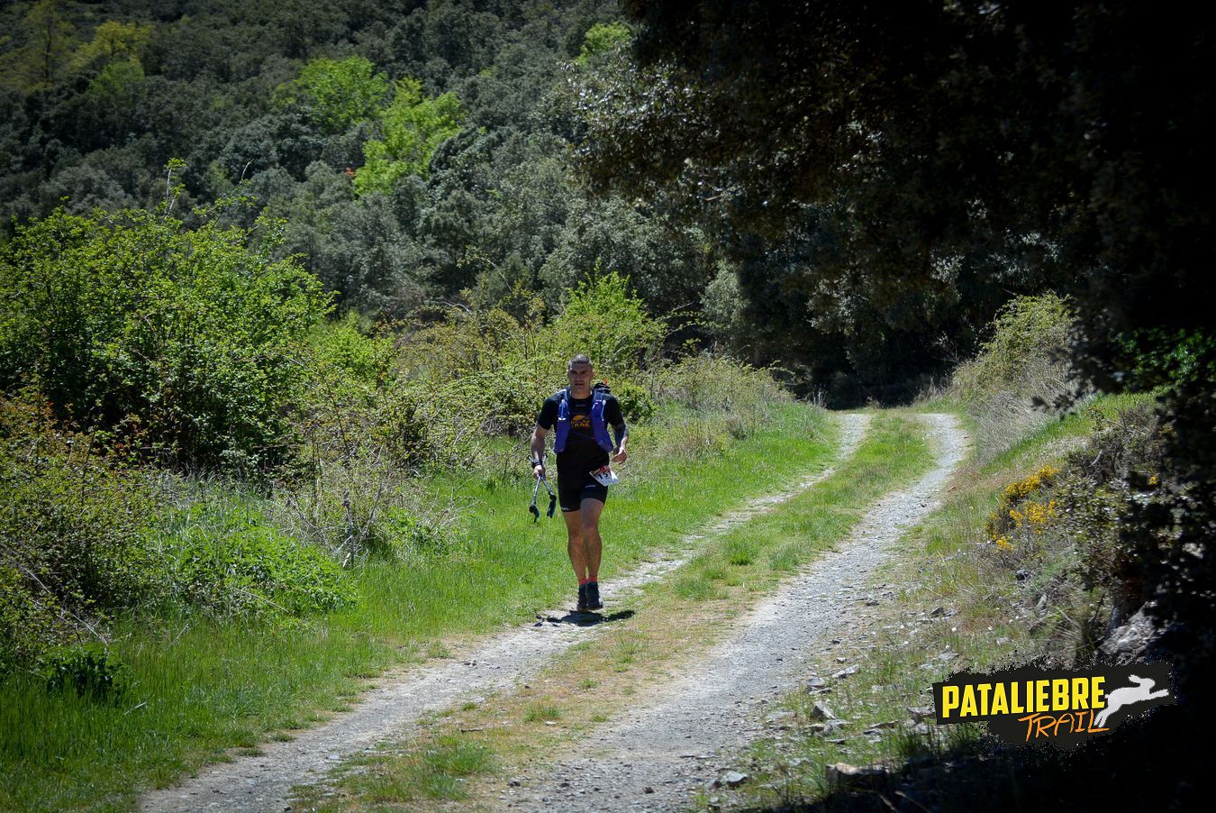 Pataliebre 2019 - 37K