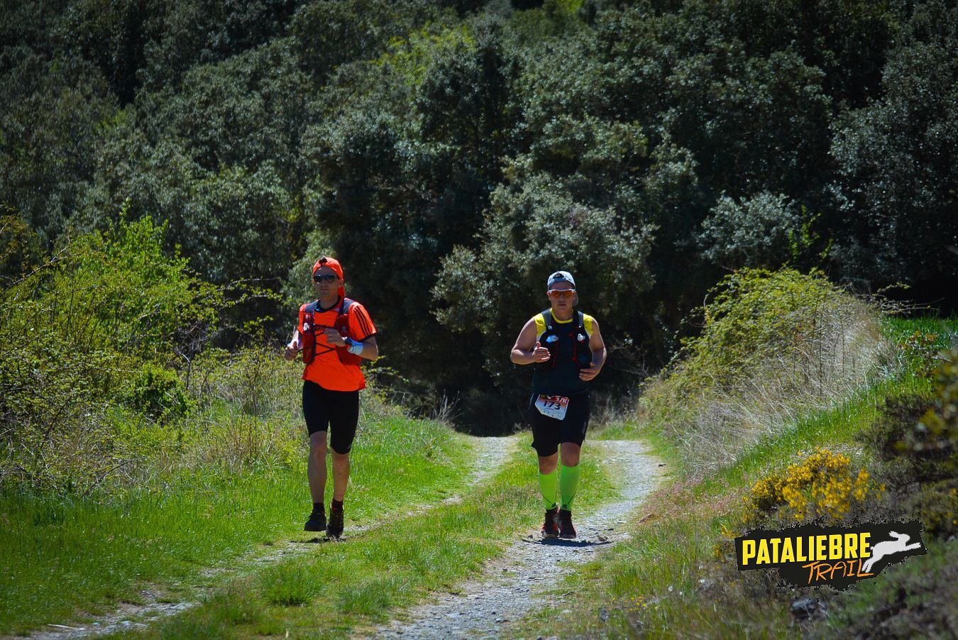 Pataliebre 2019 - 37K