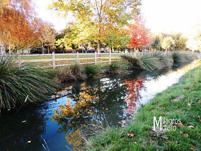 Otoño en la Dehesa