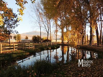 Otoño en la Dehesa