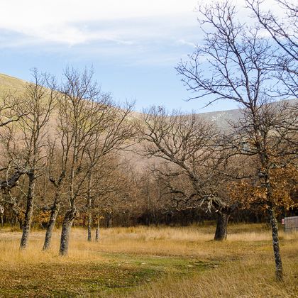 Foto La Cueva de Ágreda, Soria. Moncayo
