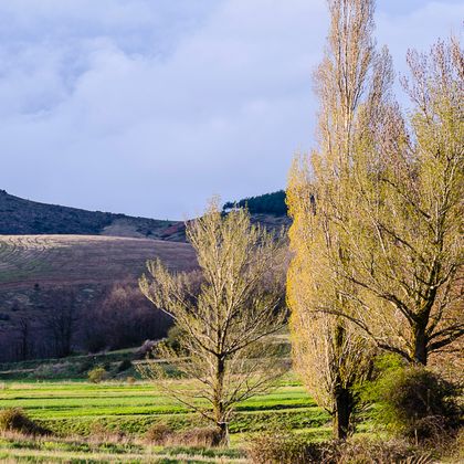 Foto La Cueva de Ágreda, Soria. Moncayo