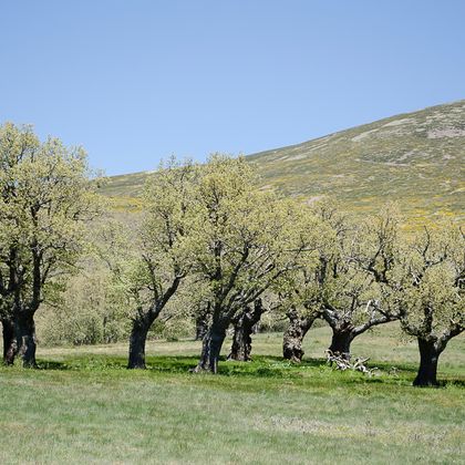 Foto La Cueva de Ágreda, Soria. Moncayo