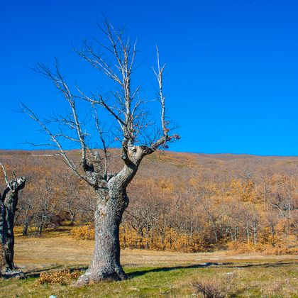 Foto La Cueva de Ágreda, Soria. Moncayo