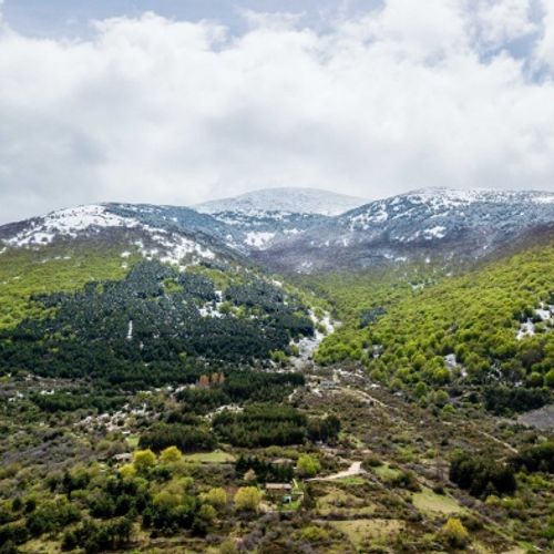 Moncayo Hayedo Hoyada