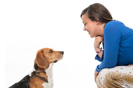 Fotografía de Perros y familias en Madrid