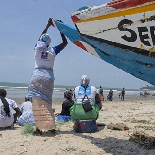 Living Senegal