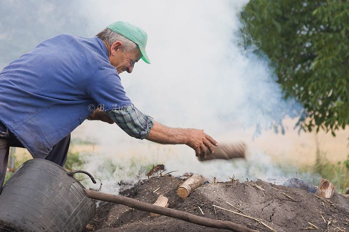 Alimentando la carbonera