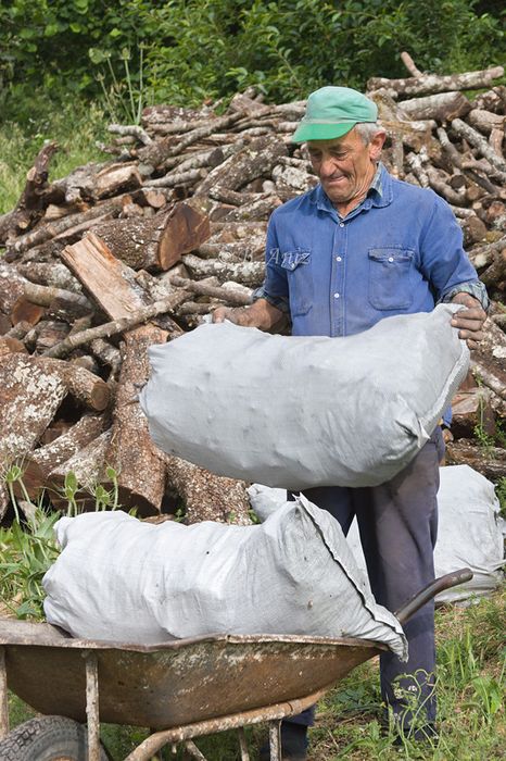 Recogiendo los sacos