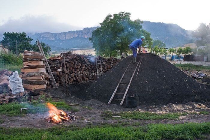 "Dando el Betagarri" a la carbonera