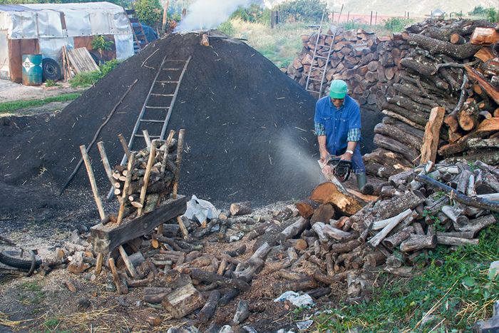 Preparando leña 