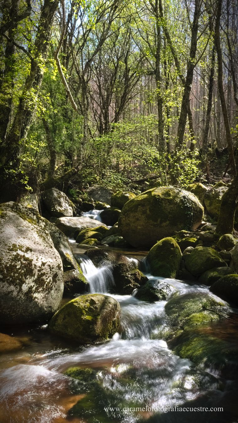 Turismo naturaleza