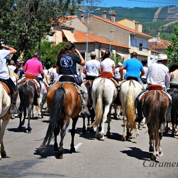 FESTEJOS POPULARES