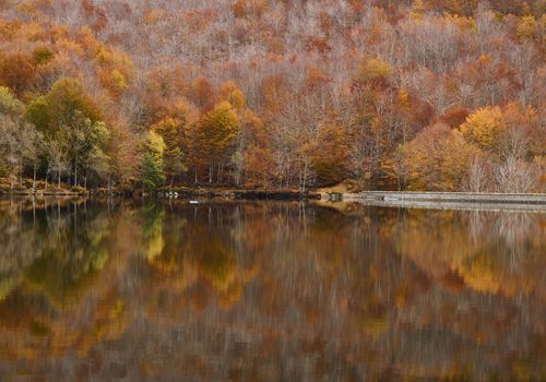 Paesaggio e natura