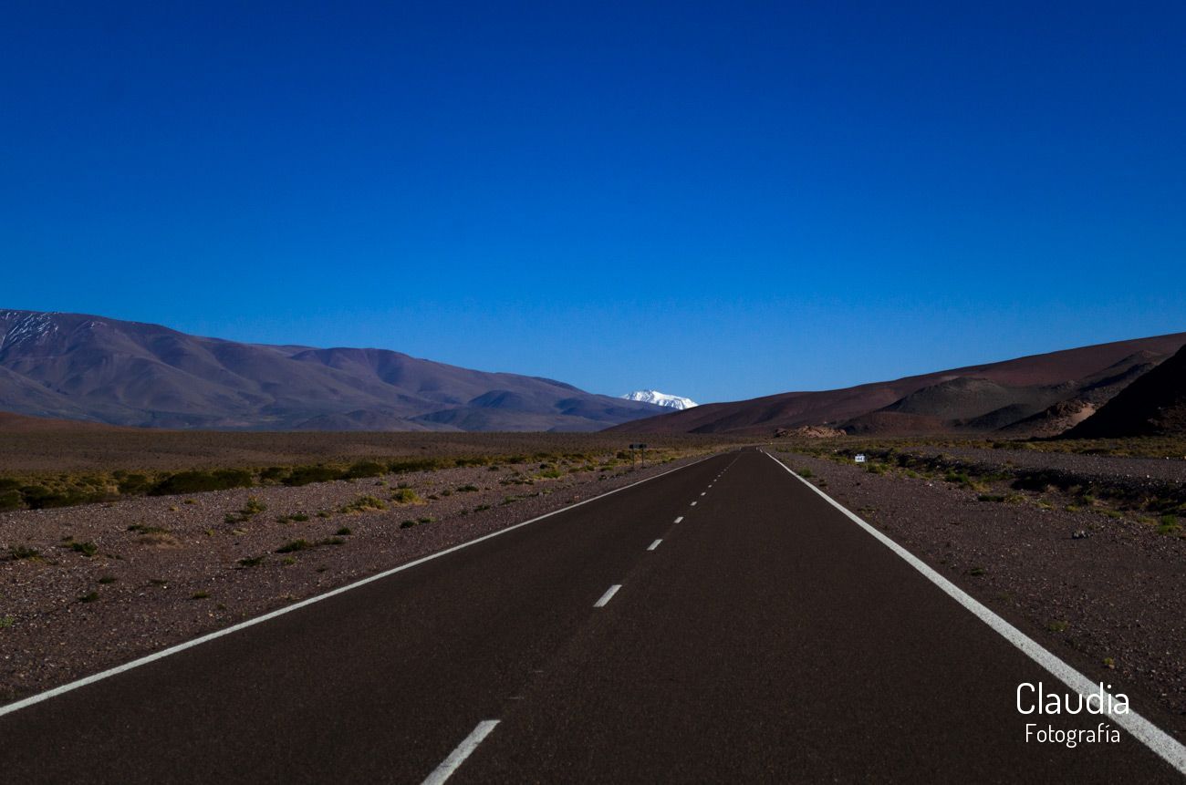 camino al balcón del Pissis.    La ruta de los seismiles (+ de 6000 msnm). RN60, Fiambalá, Provincia de Catamarca,  Argentina.  (2023)