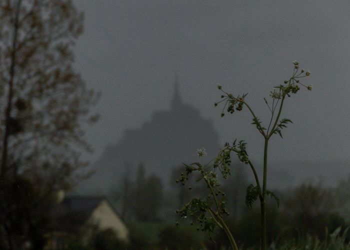 Mont Saint Michel tras un manto de neblina