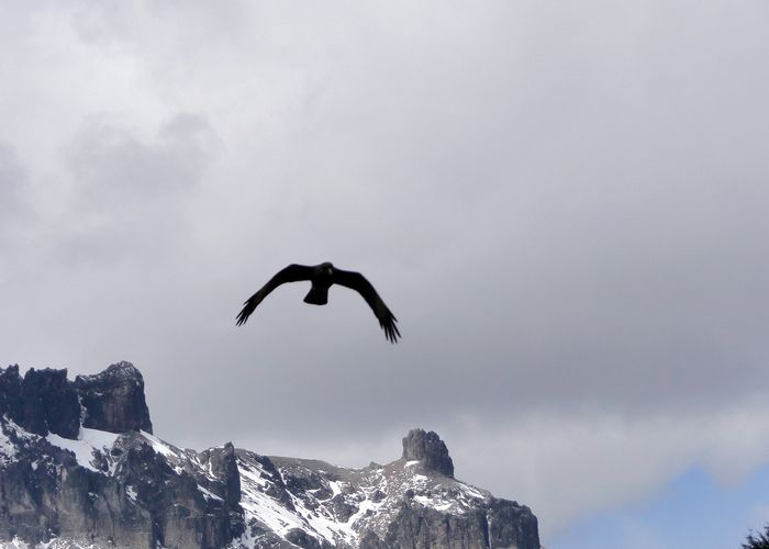 Cerro Tronador.    Parque nacional Nahuel Huapi,  S.C. de Bariloche,  Provincia de Río Negro.  Argentina