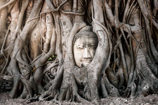 Wat Mahathat | Thai Frames | Dani Vottero 