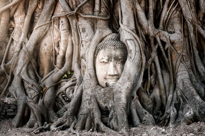 Wat Mahathat | Fotografía de Viaje, Dani Vottero