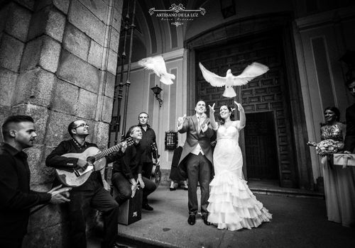 Artesano de la Luz - Suelta de palomas en una boda en Madrid