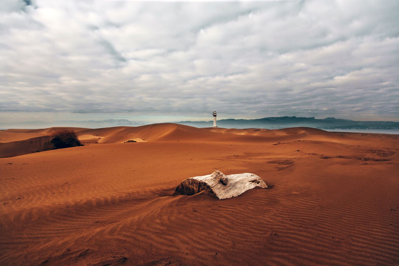 DELTA DE L'EBRE