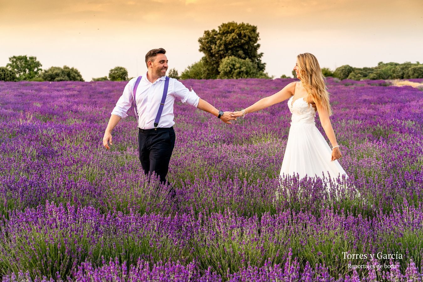 reportaje en los campos de lavanda