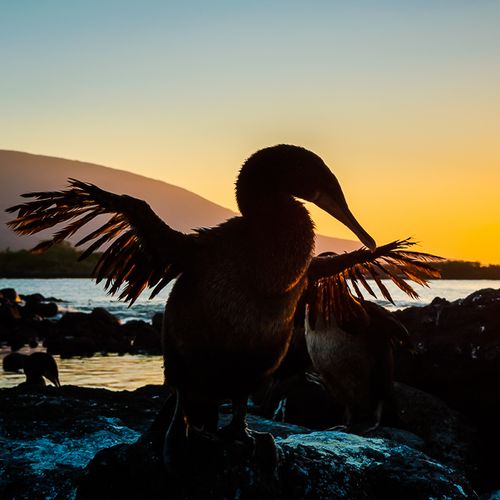 Islas Galápagos