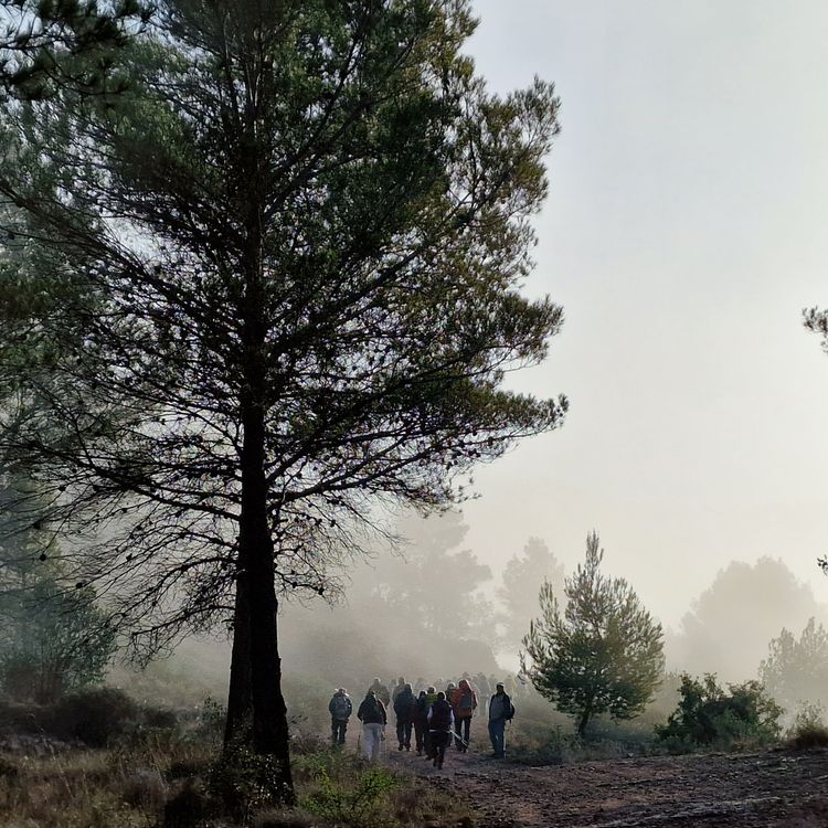 Figuras en el paisaje