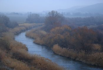 Río Henares