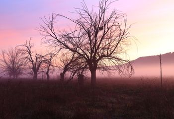 Amanecer rosa