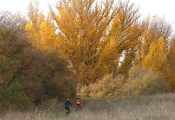 Ciclistas río henares