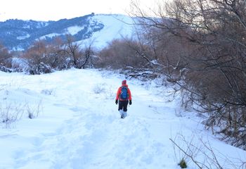 Andando en la nieve