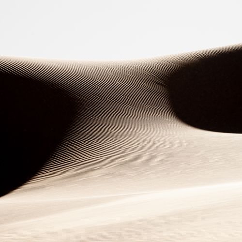 Dune 1