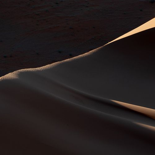 Dune 3