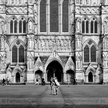 79-Catedral de Salisbury, Inglaterra
