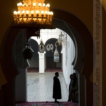 722-Mezquita, Fes, Marruecos