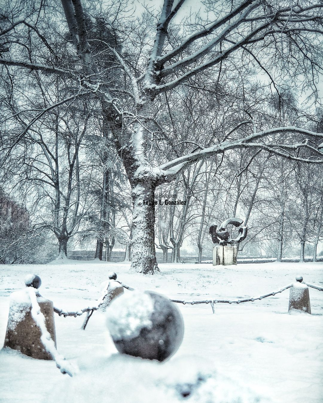 Nieve en el Parque de la Ciudadela de Pamoplona