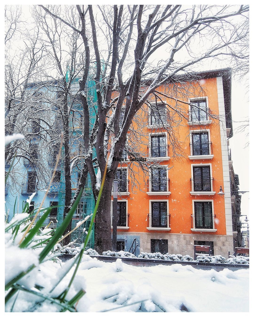 Nieve en el Paseo de Sarasate