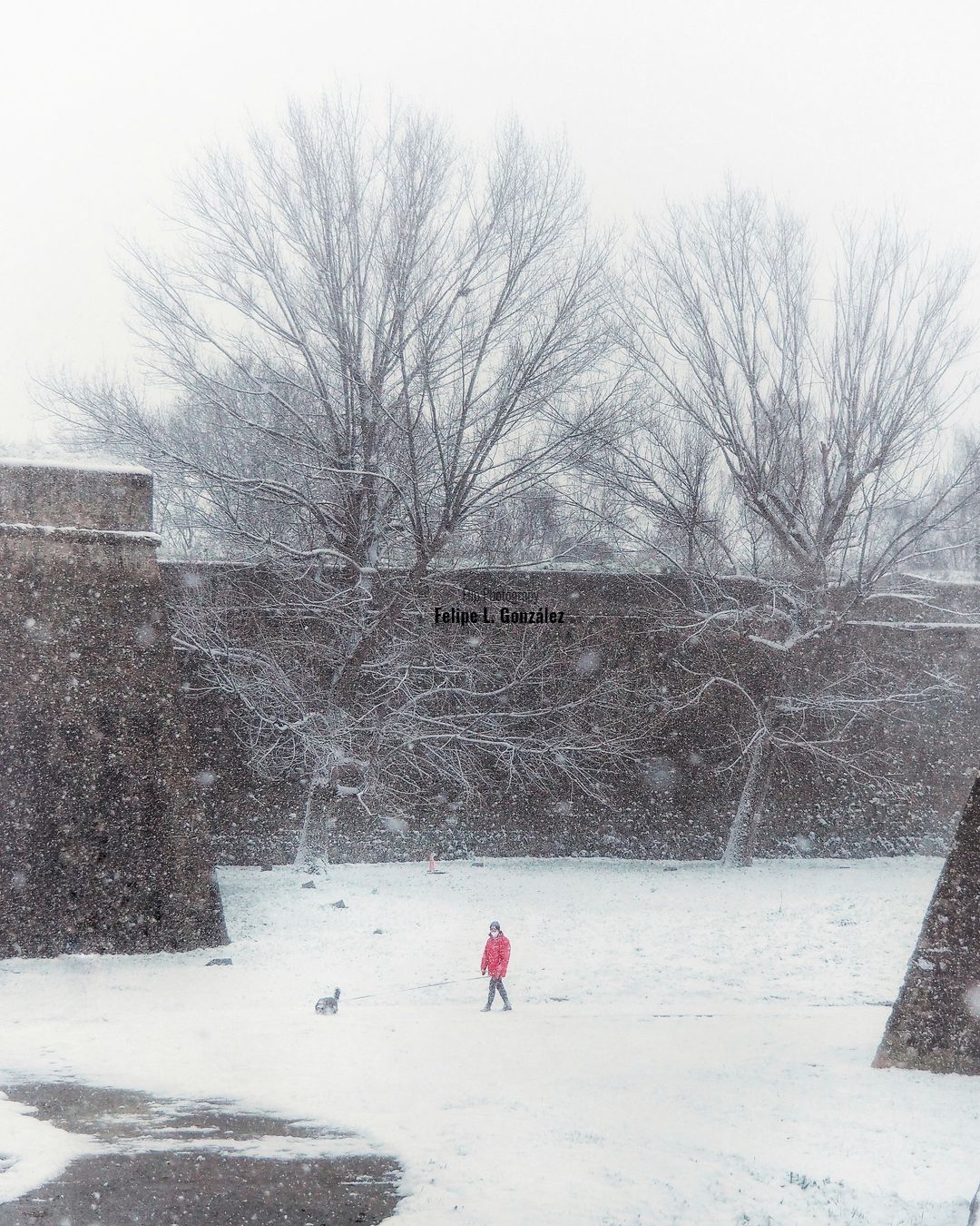 Nieve en el Parque de la Ciudadela de Pamoplona