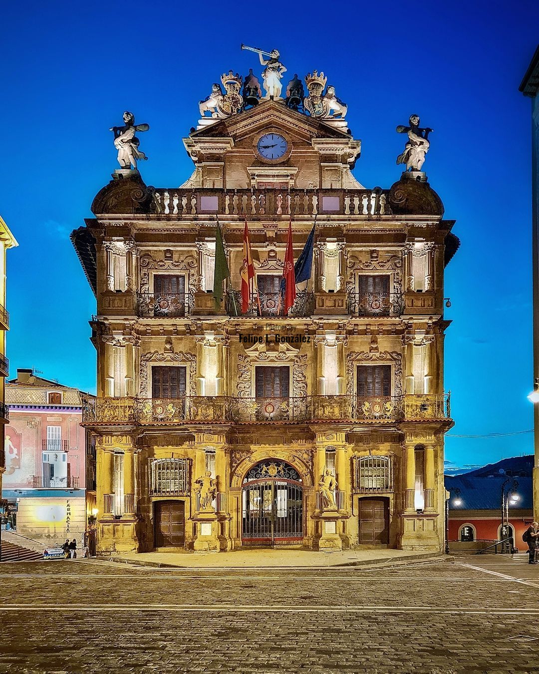 Ayuntamiento de Pamplona (Iruñeko Udala)