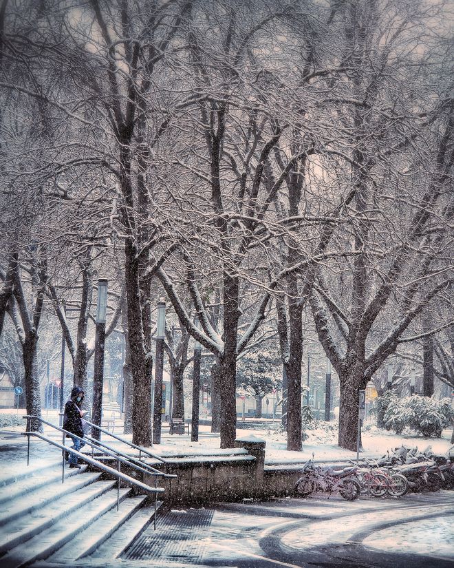 Nieve en Paseo Dr. Arazuri en Pamplona