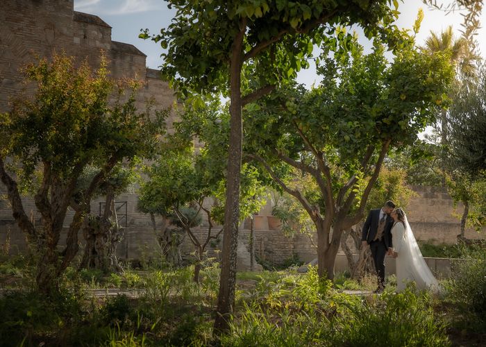 Postboda en El Alcázar de Jerez | Sara y Luis