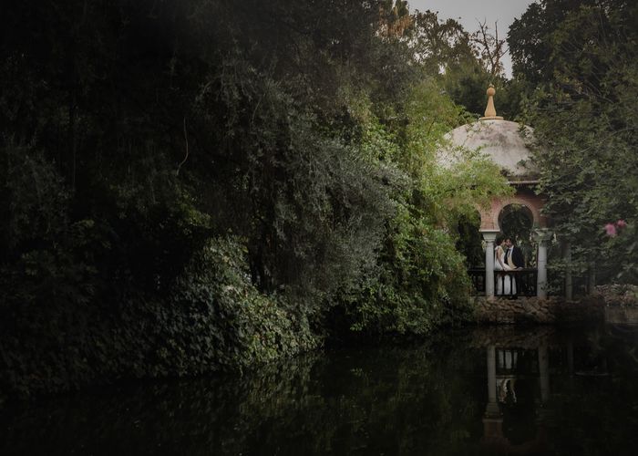 Reportaje Post Boda en el Parque de María Luisa, Sevilla: Capturando Momentos Inolvidables