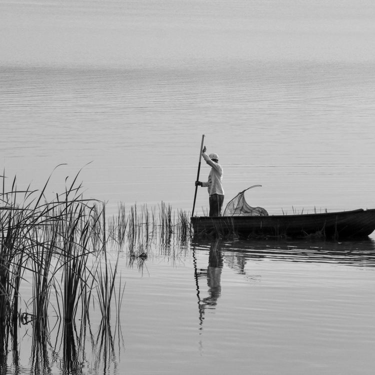 Paisajes blanco y negro